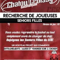 Vignette pour l'image de la liste principale