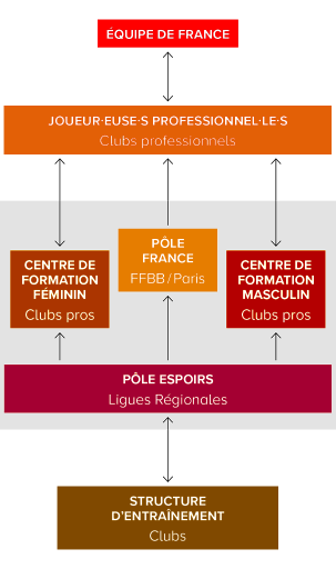 pyramide-detection-2-1-federation-francaise-de-basketball